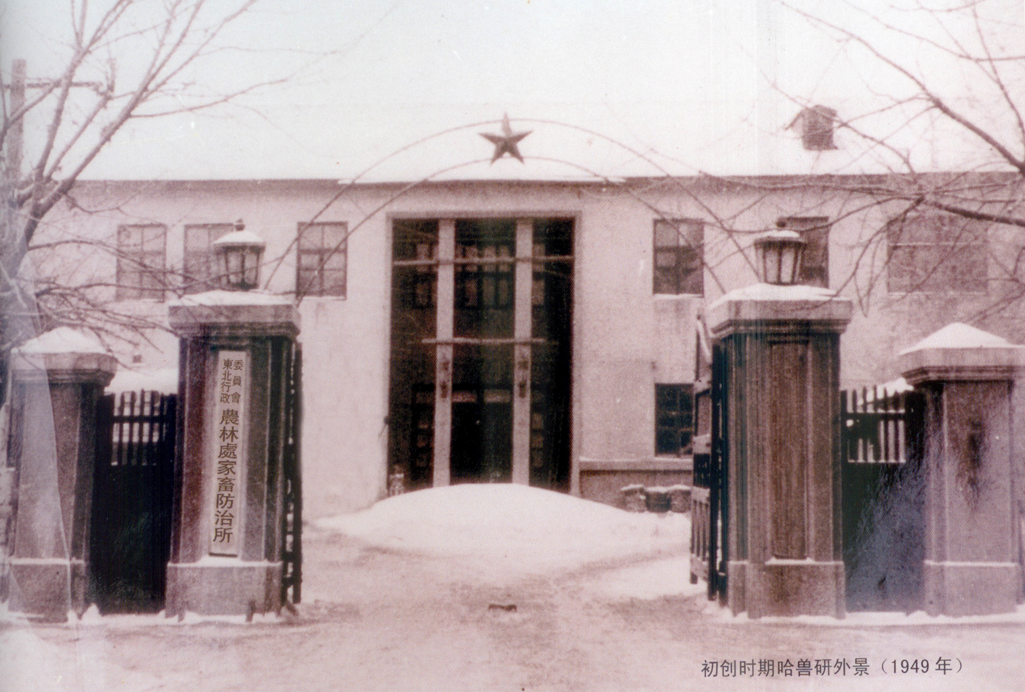 黑龍江日報3.png