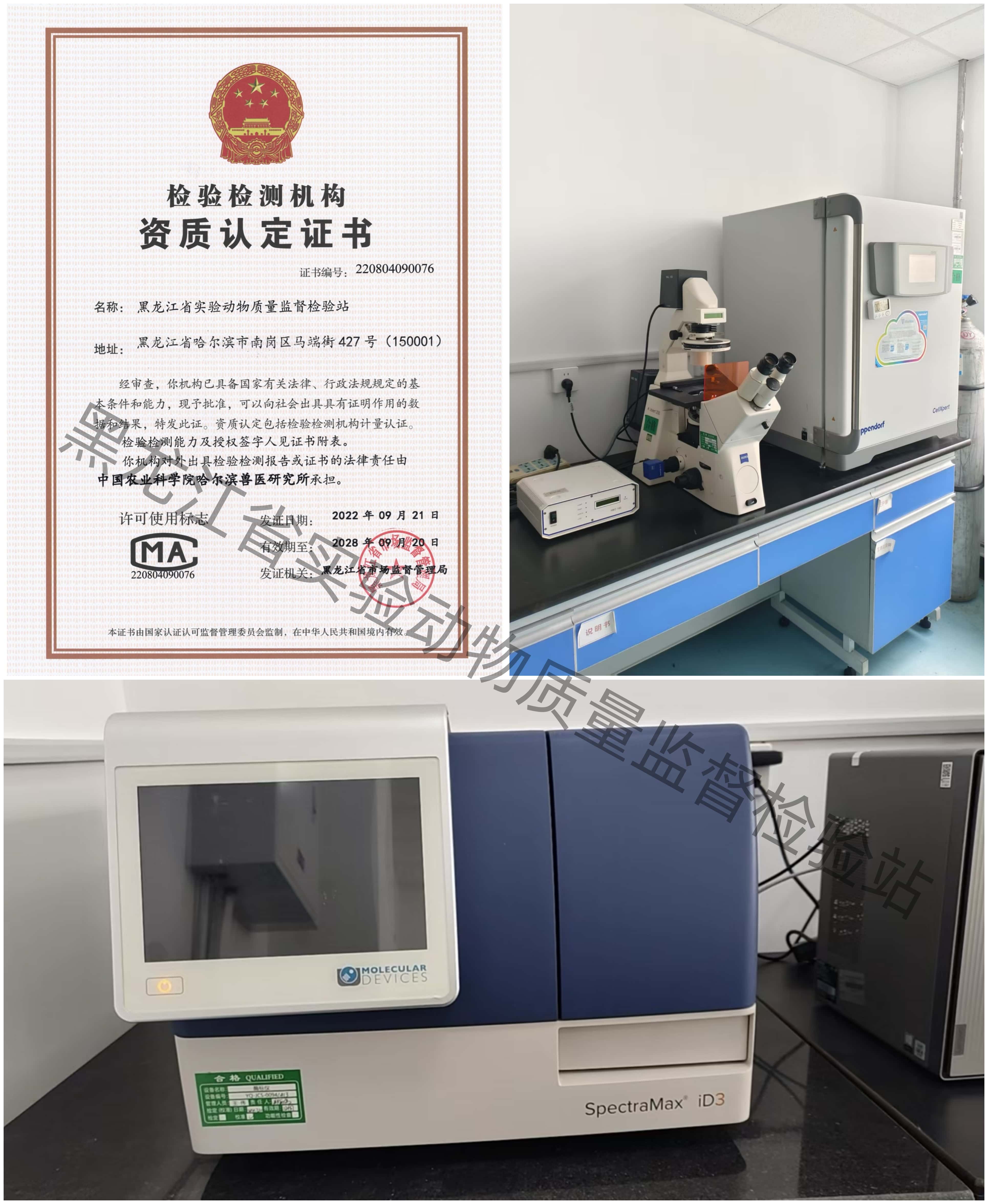 省拼圖.jpg