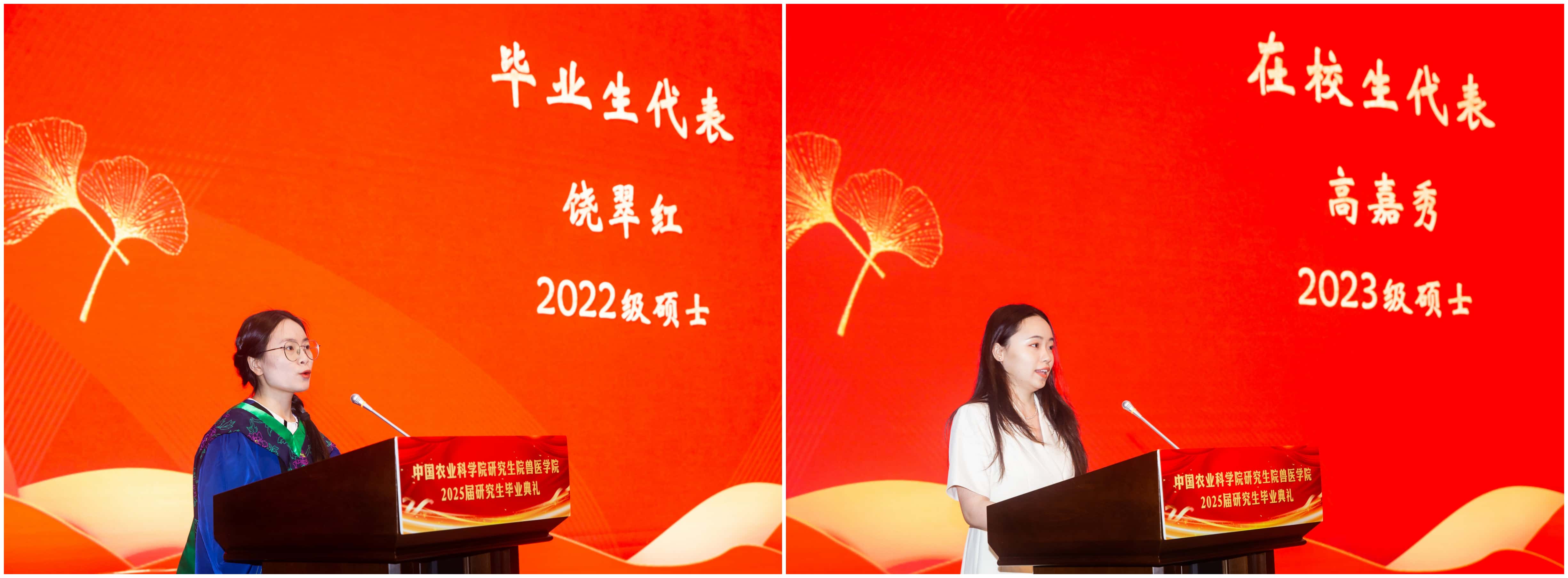 拼圖.jpg