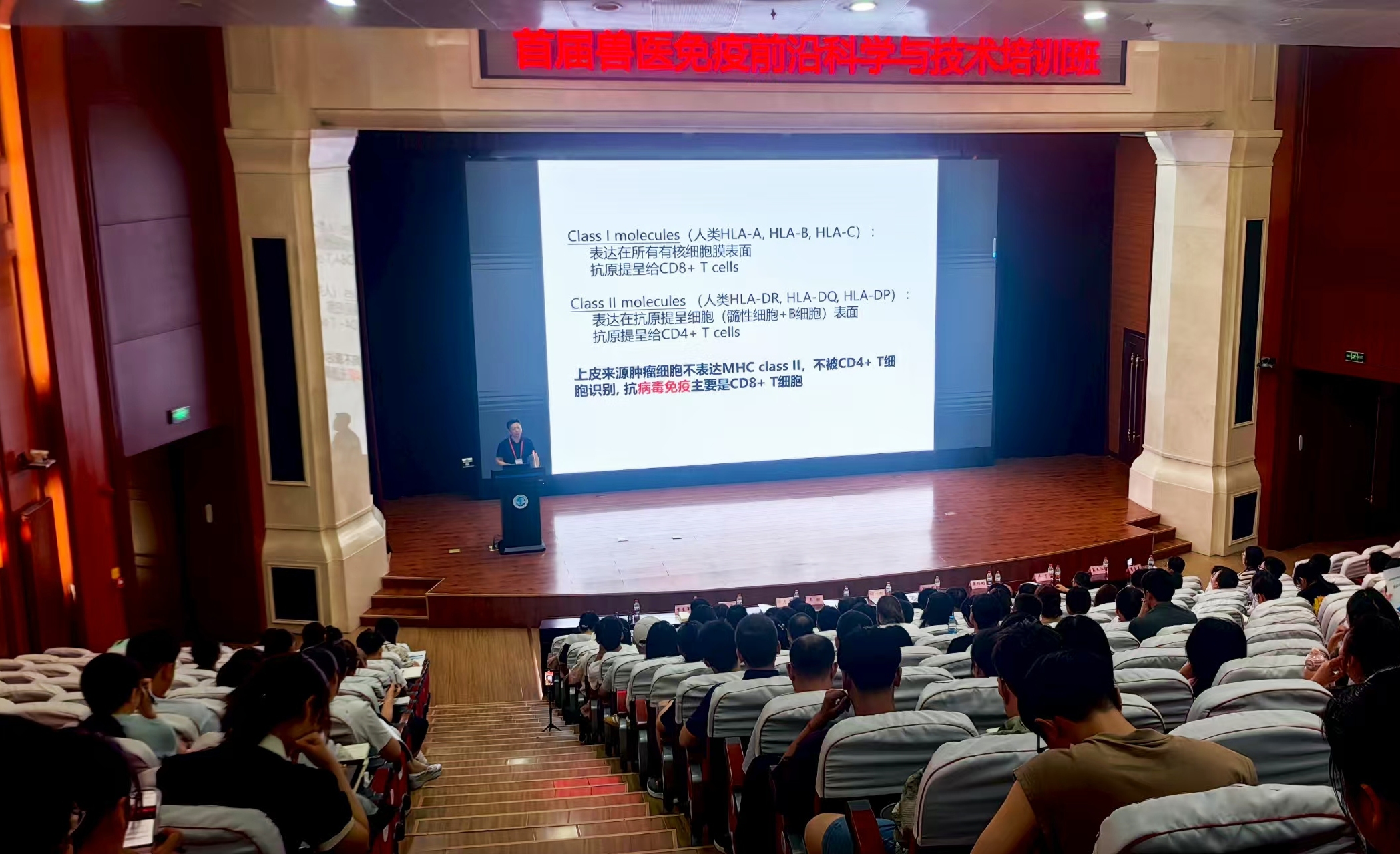 張晶壓題圖.jpg