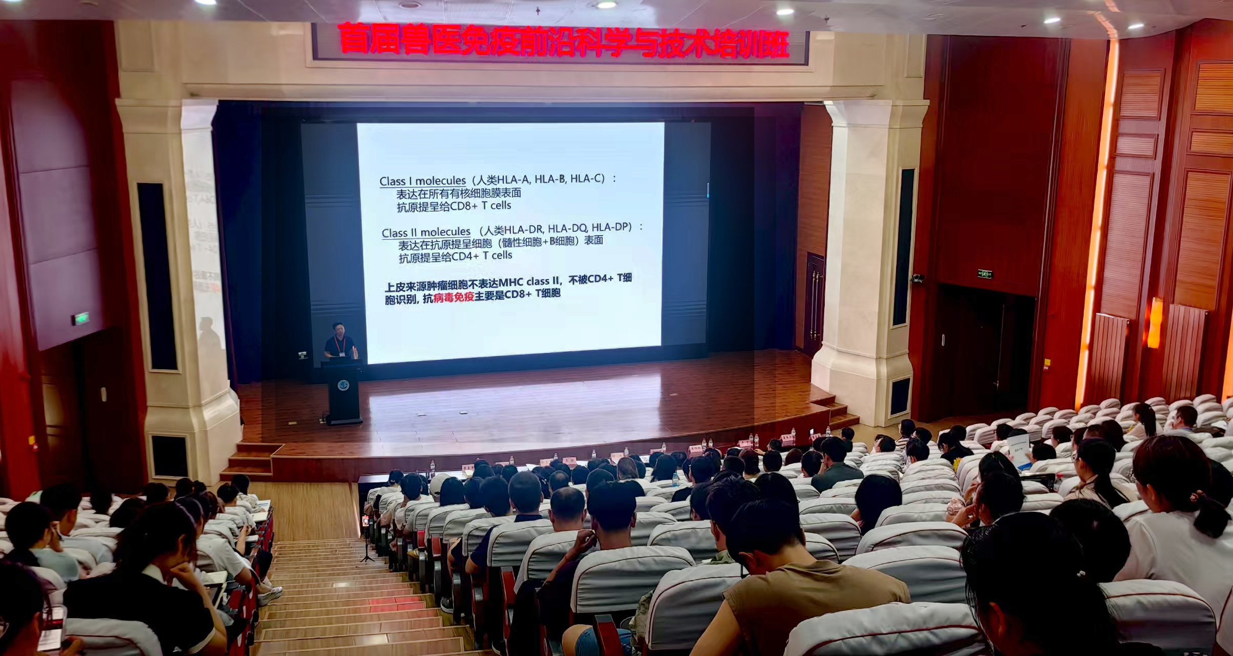 龍頭新聞大會(huì)圖.jpg