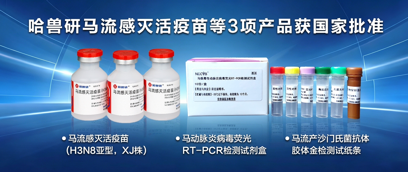 馬流感定稿配圖2.jpg